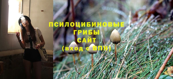 шишки Алексеевка