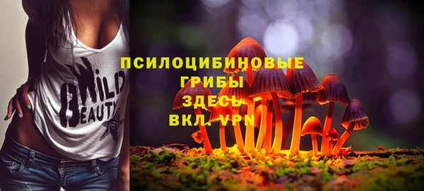соль ск Алексин