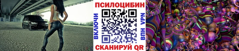 купить закладку  Кыштым  Псилоцибиновые грибы Cubensis 